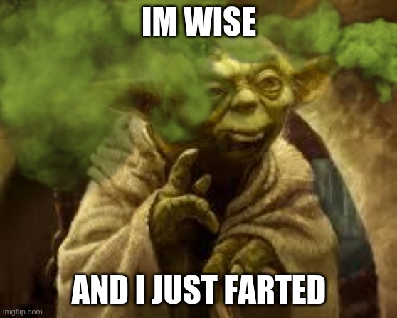 Yoda wise guy | IM WISE; AND I JUST FARTED | image tagged in yoda,farted,yoda wisdom,one does not simply,hold fart | made w/ Imgflip meme maker