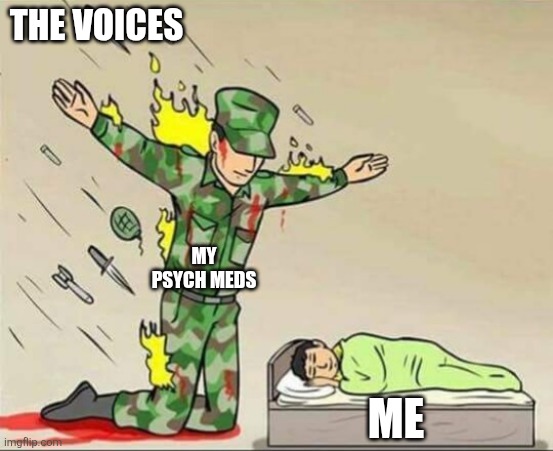Soldier protecting sleeping child | THE VOICES; MY PSYCH MEDS; ME | image tagged in soldier protecting sleeping child,schizophrenia,meds | made w/ Imgflip meme maker