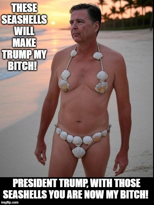 You are now my bitch! | THESE SEASHELLS WILL MAKE TRUMP MY BITCH! PRESIDENT TRUMP, WITH THOSE SEASHELLS YOU ARE NOW MY BITCH! | image tagged in karma's a bitch,bitches be like | made w/ Imgflip meme maker