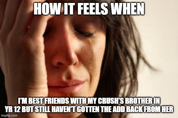 First World Problems | HOW IT FEELS WHEN; I'M BEST FRIENDS WITH MY CRUSH'S BROTHER IN YR 12 BUT STILL HAVEN'T GOTTEN THE ADD BACK FROM HER | image tagged in memes,first world problems | made w/ Imgflip meme maker