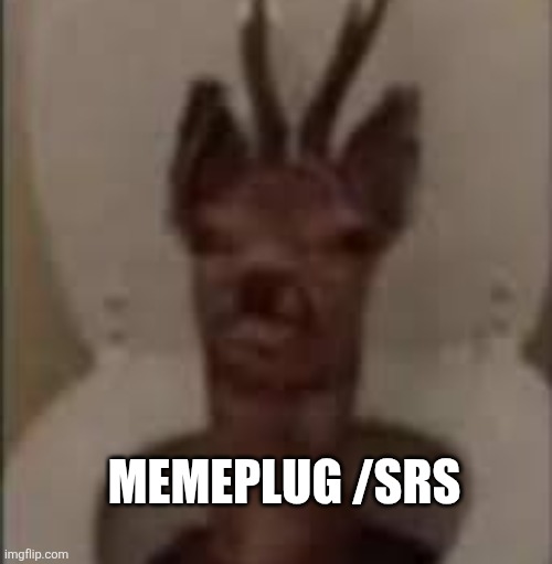 /j /j /j /j /j | MEMEPLUG /SRS | image tagged in /j /j /j /j /j | made w/ Imgflip meme maker