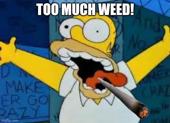 Homer Going Crazy | TOO MUCH WEED! | image tagged in homer going crazy | made w/ Imgflip meme maker
