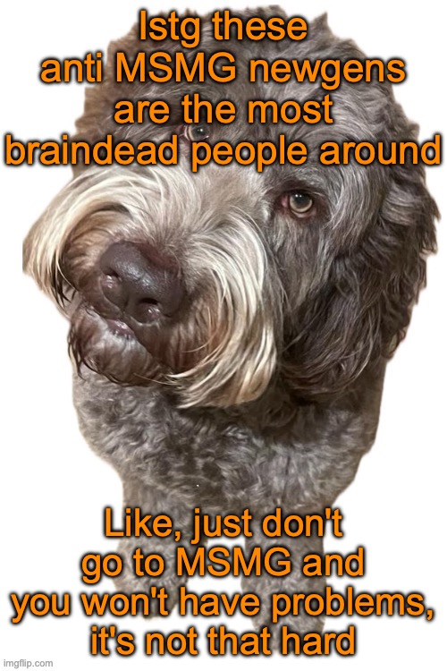 Send this to 70lastchance, Angel Dust, InteractionSystem, and all the other users who behave like this | Istg these anti MSMG newgens are the most braindead people around; Like, just don't go to MSMG and you won't have problems, it's not that hard | image tagged in norther's dog | made w/ Imgflip meme maker