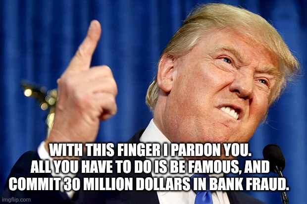 Donald Trump | WITH THIS FINGER I PARDON YOU. ALL YOU HAVE TO DO IS BE FAMOUS, AND COMMIT 30 MILLION DOLLARS IN BANK FRAUD. | image tagged in donald trump | made w/ Imgflip meme maker