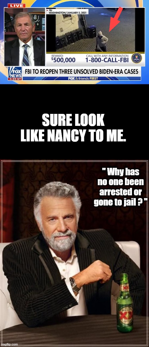 SURE LOOK LIKE NANCY TO ME. " Why has no one been arrested or gone to jail ? " | image tagged in memes,the most interesting man in the world | made w/ Imgflip meme maker
