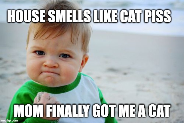 be an optimist | HOUSE SMELLS LIKE CAT PISS; MOM FINALLY GOT ME A CAT | image tagged in memes,success kid original,cat | made w/ Imgflip meme maker