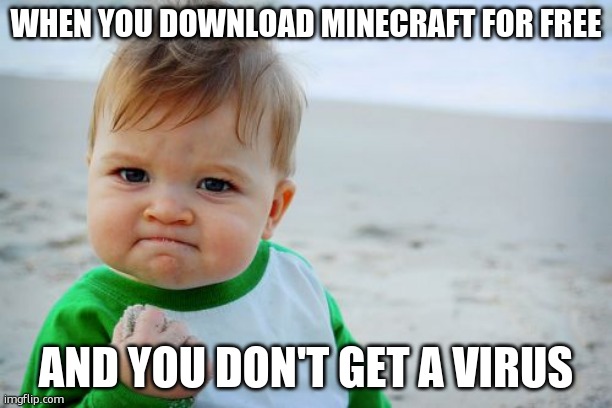 low effort meme | WHEN YOU DOWNLOAD MINECRAFT FOR FREE; AND YOU DON'T GET A VIRUS | image tagged in memes,success kid original | made w/ Imgflip meme maker