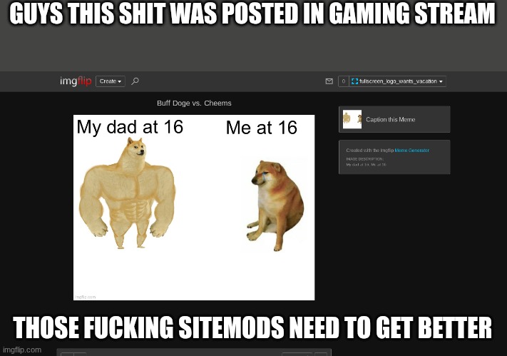GUYS THIS SHIT WAS POSTED IN GAMING STREAM; THOSE FUCKING SITEMODS NEED TO GET BETTER | made w/ Imgflip meme maker