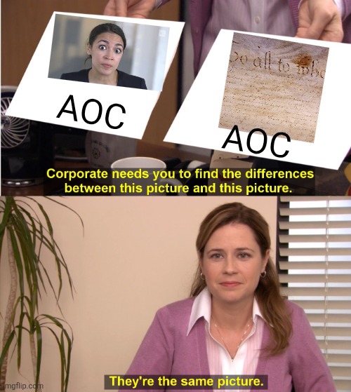 Alexandria Ocasio-Cortez is a good speaker but her premise is too far left for most voters | AOC; AOC | image tagged in memes,they're the same picture,constitution,aoc,trump,politics | made w/ Imgflip meme maker