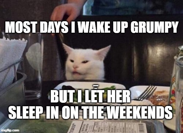 Wake up grumpy | MOST DAYS I WAKE UP GRUMPY; BUT I LET HER SLEEP IN ON THE WEEKENDS | image tagged in smudge that darn cat | made w/ Imgflip meme maker