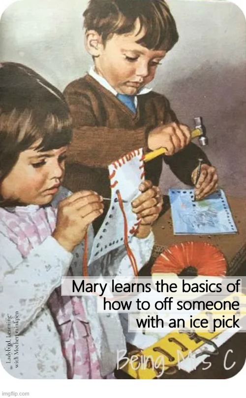 Indeed | image tagged in leontrotsky,ladybird,misanthrope | made w/ Imgflip meme maker