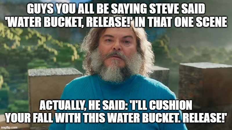 I am Steve | GUYS YOU ALL BE SAYING STEVE SAID 'WATER BUCKET, RELEASE!' IN THAT ONE SCENE; ACTUALLY, HE SAID: 'I'LL CUSHION YOUR FALL WITH THIS WATER BUCKET. RELEASE!' | image tagged in i am steve | made w/ Imgflip meme maker
