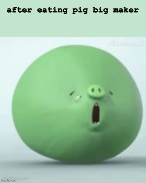 angry birds pig | after eating pig big maker | image tagged in angry birds pig | made w/ Imgflip meme maker