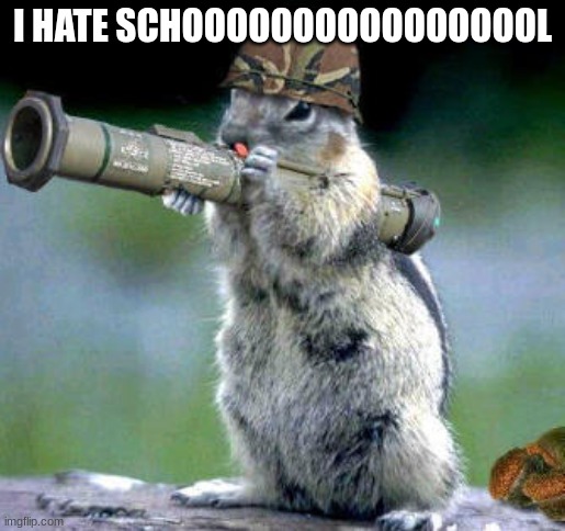 idk | I HATE SCHOOOOOOOOOOOOOOOOL | image tagged in memes,bazooka squirrel | made w/ Imgflip meme maker