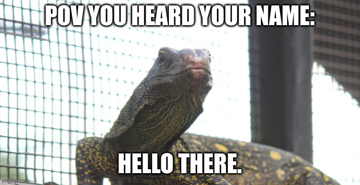 when someone says ur name | POV YOU HEARD YOUR NAME:; HELLO THERE. | image tagged in funny | made w/ Imgflip meme maker