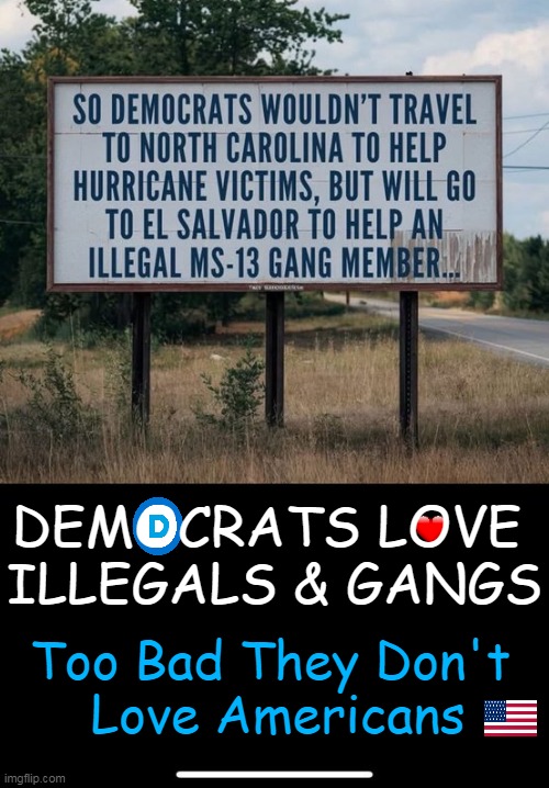 Can it be any more OBVIOUS? :( | DEMOCRATS LOVE 
ILLEGALS & GANGS; Too Bad They Don't 
Love Americans | image tagged in democrat party today,love,illegals,gangsters,hate,americans | made w/ Imgflip meme maker