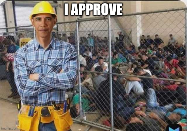 Who built the cages, Joe? | I APPROVE | image tagged in who built the cages joe | made w/ Imgflip meme maker