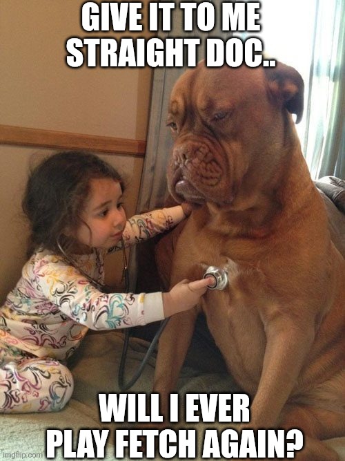 Give It To Me Straight Doc Will I Ever Play Fetch Again? | GIVE IT TO ME STRAIGHT DOC.. WILL I EVER PLAY FETCH AGAIN? | image tagged in chrisjoines1 | made w/ Imgflip meme maker