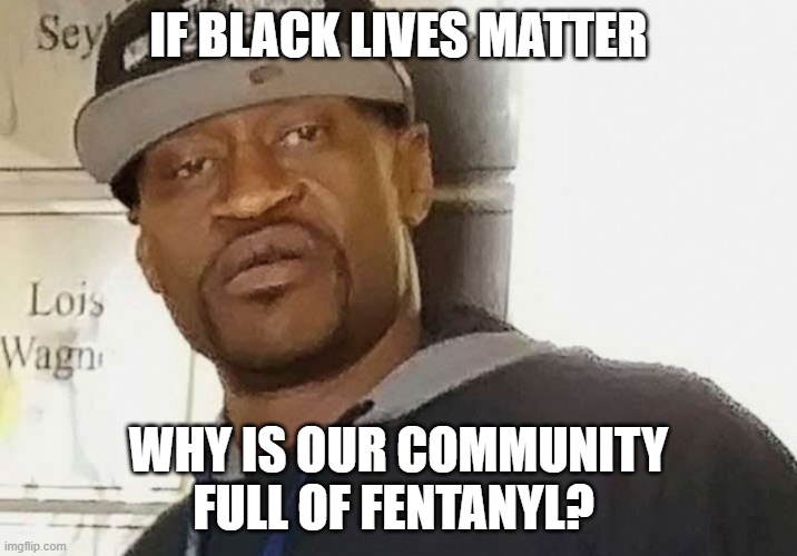 we screwed up and it's kinda our fault | IF BLACK LIVES MATTER; WHY IS OUR COMMUNITY FULL OF FENTANYL? | image tagged in fentanyl floyd | made w/ Imgflip meme maker