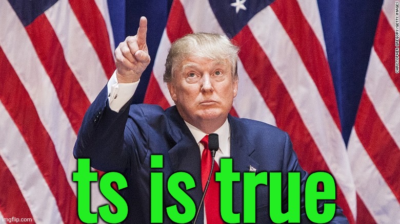 trump pointing up | ts is true | image tagged in trump pointing up | made w/ Imgflip meme maker