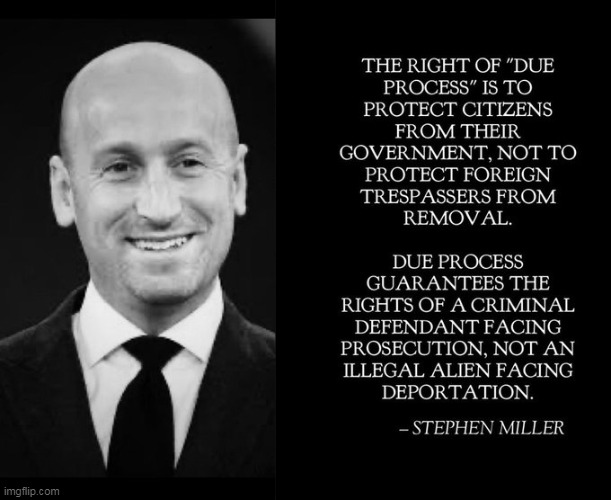 Illegals & gang members get Democrats' panties in a wad... | image tagged in stephen miller,good guy,crying democrats,sick,gangsters,illegals | made w/ Imgflip meme maker
