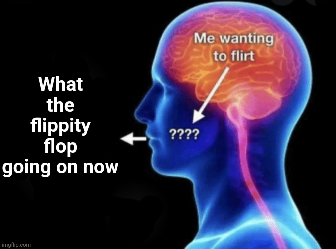 Me wanting to flirt | What the flippity flop going on now | image tagged in me wanting to flirt | made w/ Imgflip meme maker