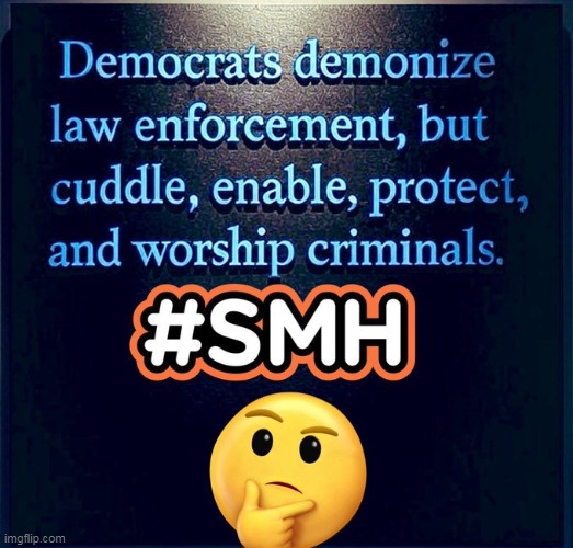 Make it stop | image tagged in democrats,criminals,good,police,bad,upside-down | made w/ Imgflip meme maker