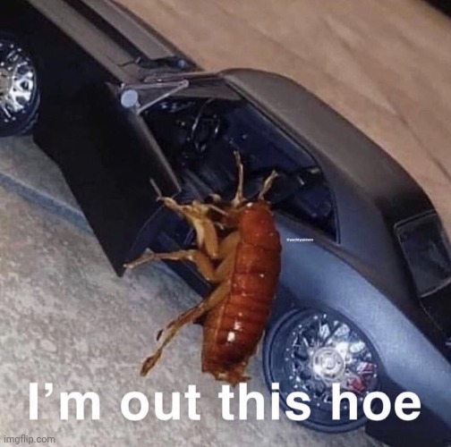 maybe there won't be bs when i come back. | made w/ Imgflip meme maker