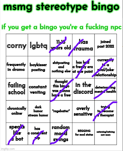Not an npc?! I’m shocked | image tagged in msmg stereotype bingo | made w/ Imgflip meme maker