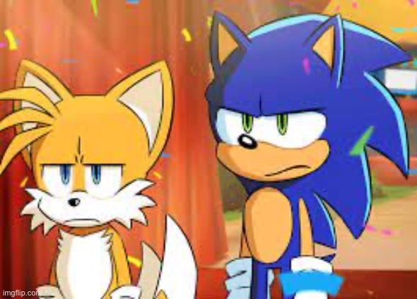 image tagged in dissapointed sonic and tails | made w/ Imgflip meme maker