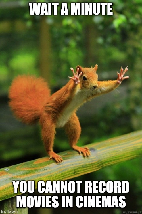 WAIT A MINUTE YOU CANNOT RECORD MOVIES IN CINEMAS | image tagged in wait a minute squirrel | made w/ Imgflip meme maker