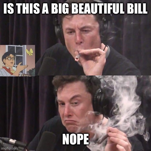 Musk criticizes Trump’s bill. How will Trump respond? | IS THIS A BIG BEAUTIFUL BILL; NOPE | image tagged in elon musk weed,memes | made w/ Imgflip meme maker