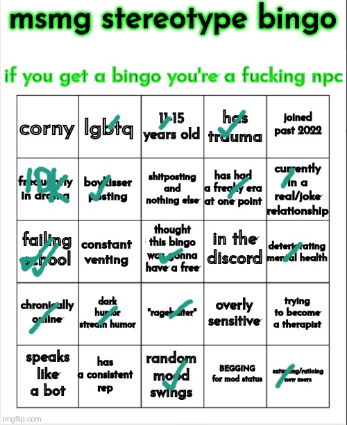 no bingo :( | image tagged in msmg stereotype bingo | made w/ Imgflip meme maker