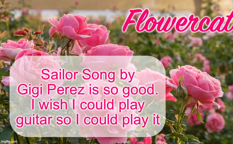 Won’t you kiss me on the mouth and love me like a sailor? | Sailor Song by Gigi Perez is so good. I wish I could play guitar so I could play it | image tagged in flowercat template | made w/ Imgflip meme maker