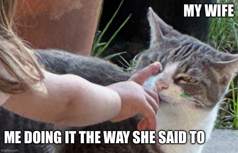 keep trying hubby | MY WIFE; ME DOING IT THE WAY SHE SAID TO | image tagged in wife,always wrong | made w/ Imgflip meme maker