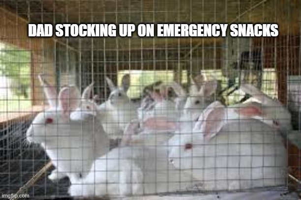 Fatal attraction (1987) | DAD STOCKING UP ON EMERGENCY SNACKS | image tagged in movies,rabbit | made w/ Imgflip meme maker