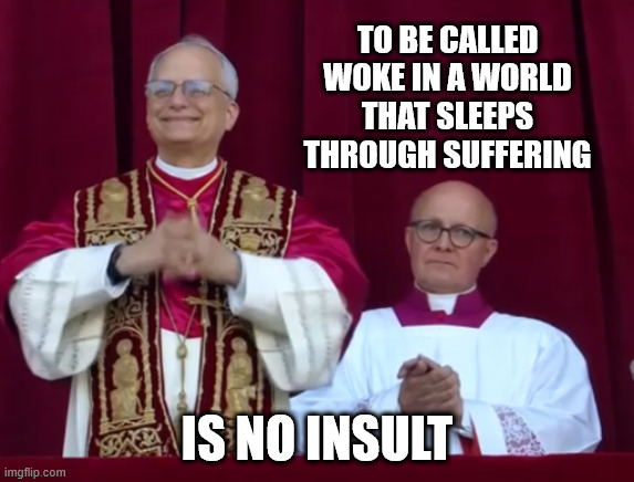 The THING that MAGA doesn't get | TO BE CALLED WOKE IN A WORLD THAT SLEEPS THROUGH SUFFERING; IS NO INSULT | image tagged in pope leo xiv is happy | made w/ Imgflip meme maker