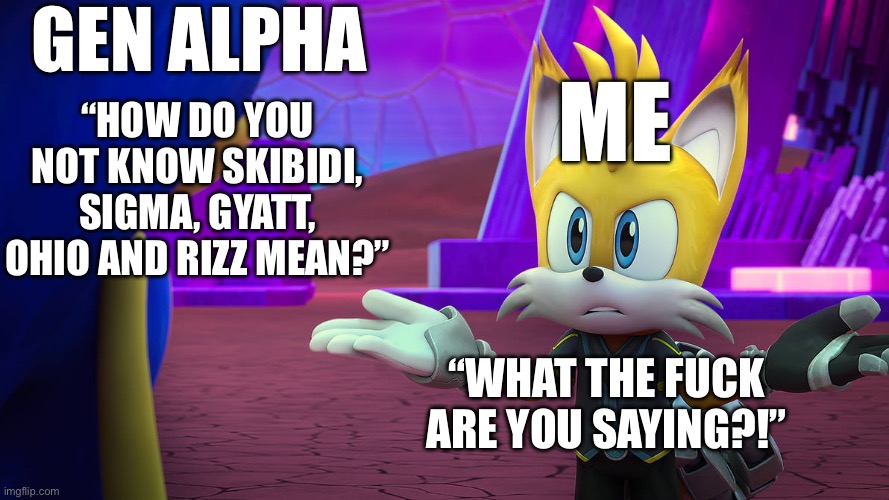 That makes no sense!! | GEN ALPHA; ME; “HOW DO YOU NOT KNOW SKIBIDI, SIGMA, GYATT, OHIO AND RIZZ MEAN?”; “WHAT THE FUCK ARE YOU SAYING?!” | image tagged in nine shrug,gen alpha,memes,funny,relatable,why | made w/ Imgflip meme maker