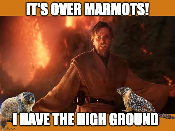 It's over Marmots! | IT'S OVER MARMOTS! I HAVE THE HIGH GROUND | image tagged in funny | made w/ Imgflip meme maker