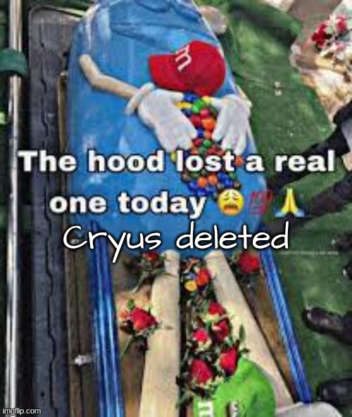 F in the chat. | Cryus deleted | image tagged in the hood lost a real one today | made w/ Imgflip meme maker