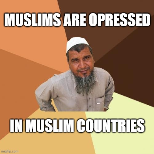 you know what i mean | MUSLIMS ARE OPRESSED; IN MUSLIM COUNTRIES | image tagged in memes,ordinary muslim man | made w/ Imgflip meme maker