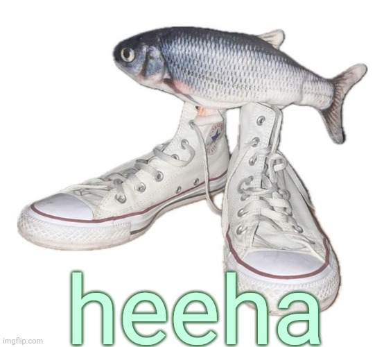 fihs | heeha | image tagged in fihs | made w/ Imgflip meme maker