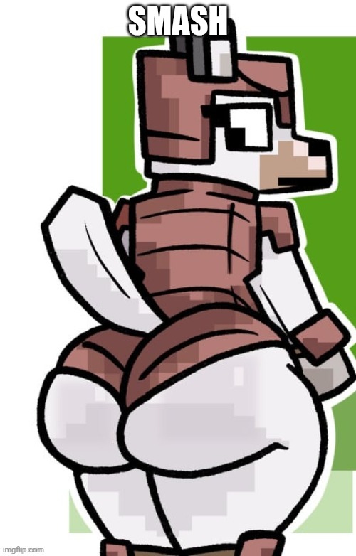 doggo ass | SMASH | image tagged in doggo ass | made w/ Imgflip meme maker