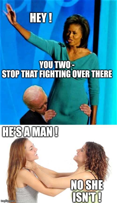 Secret Service DEI ? | HEY ! YOU TWO -
STOP THAT FIGHTING OVER THERE; HE'S A MAN ! NO SHE ISN'T ! | image tagged in biden sniffs michelle obama,women fighting,fight,cat | made w/ Imgflip meme maker