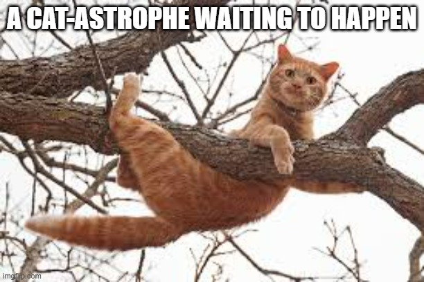 Here's a cat-astrophe waiting to happen.  - funny - | A CAT-ASTROPHE WAITING TO HAPPEN | image tagged in cats,funny,kitten,humor,play on words | made w/ Imgflip meme maker