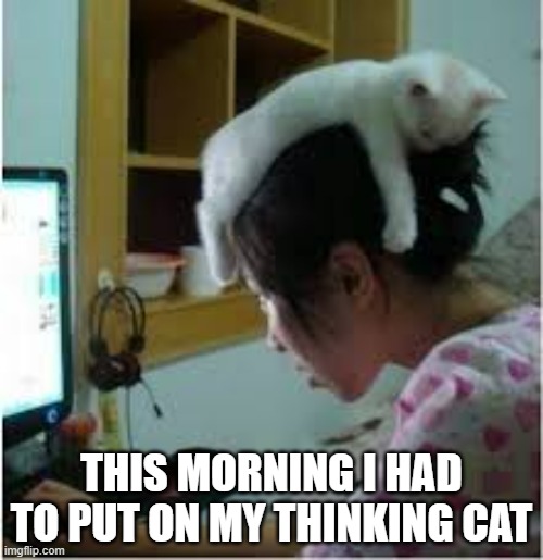 Some days you just to put on your thinking cat.  - funny - | THIS MORNING I HAD TO PUT ON MY THINKING CAT | image tagged in cats,funny,kitten,play on words,humor,hat | made w/ Imgflip meme maker