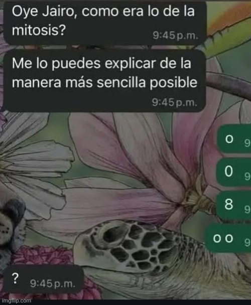 9vgvl7.jpg