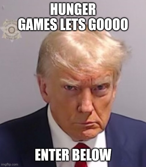 Donald Trump Mugshot | HUNGER GAMES LETS GOOOO; ENTER BELOW | image tagged in donald trump mugshot | made w/ Imgflip meme maker