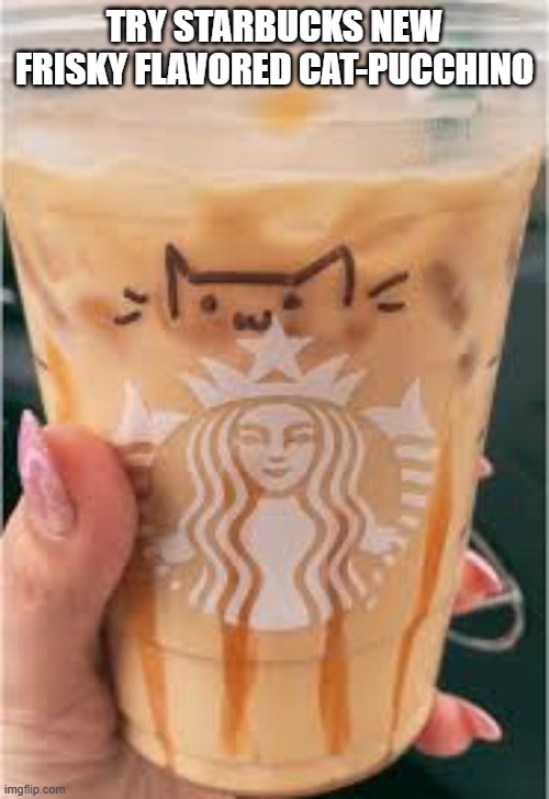 Try Starbucks new frisky flavored cat-puccino. | TRY STARBUCKS NEW FRISKY FLAVORED CAT-PUCCHINO | image tagged in cat,funny,kitten,starbucks,cappuccino,humor | made w/ Imgflip meme maker