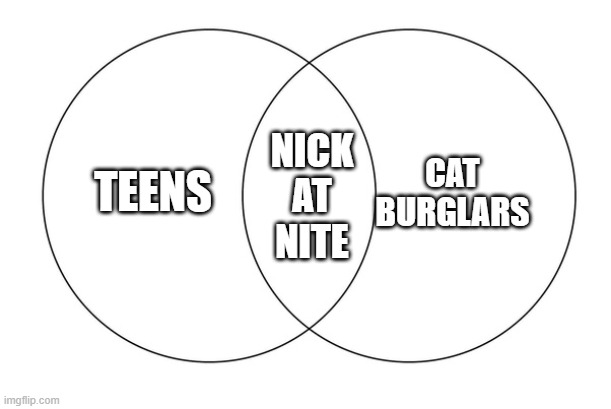 Teens Cat Burglars Nick At Nite | CAT BURGLARS; TEENS; NICK AT NITE | image tagged in venn diagram | made w/ Imgflip meme maker